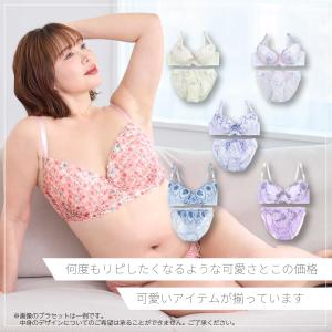 ブラジャー ショーツ 3枚組 福袋 B85-I...の詳細画像5