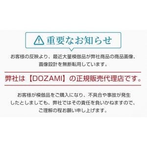レーザーペン レーザースポットペン レーザー除...の詳細画像3