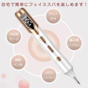 レーザーペン レーザースポットペン レーザー除...の詳細画像5
