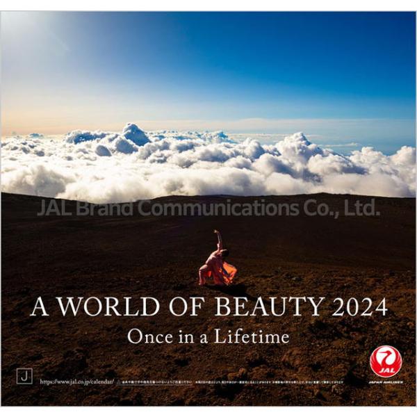 JAL「A WORLD OF BEAUTY」 2024年 ( 令和6年 )　カレンダー CL-113...