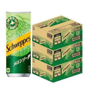 シュウェップス コカ・コーラ メロンソーダ 250ml 缶 60本 (2ケース