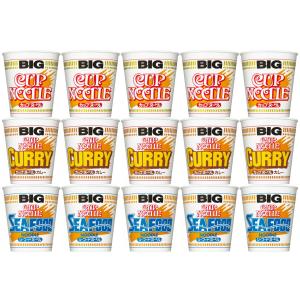 カップヌードル BIG 4種 シーフードヌードル カレーヌードル