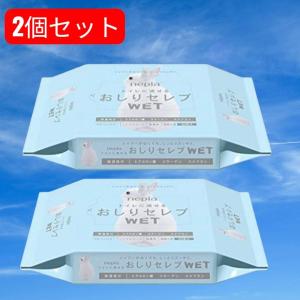 ネピア おしりセレブWET 無香料 詰替 60枚入 ２個セット