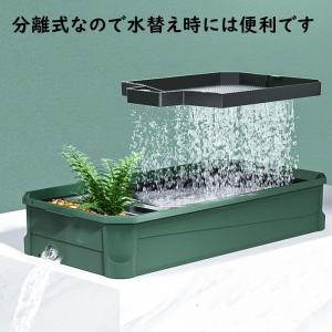 亀 水槽 プラスチック 温室 飼育ケース 爬虫類 両生類用品 の商品一覧 爬虫類 両生類用品 ペット用品 生き物 通販 Yahoo ショッピング