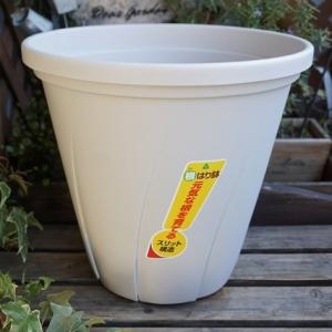 スリット鉢 おしゃれの商品一覧 通販 Yahoo ショッピング