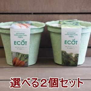 野菜 栽培セット 選べる２個セット エコットM 送料込｜Nicoco プランター菜園を楽しむ会