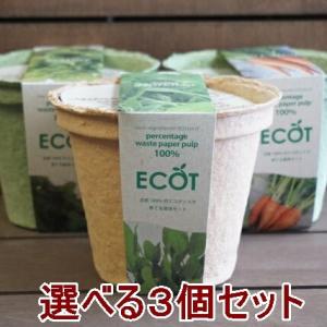野菜 栽培キット 選べる３個セット エコットM 送料込