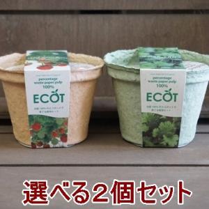 ハーブ 栽培セット 選べる２個セット エコットS 送料込