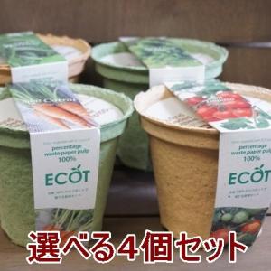 野菜 栽培キット 選べる４個セット エコットM 送料込