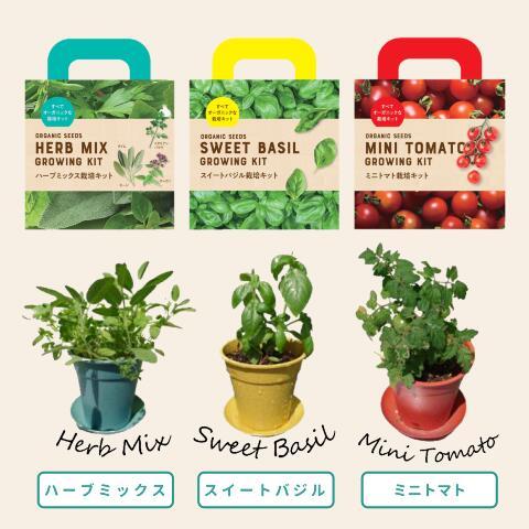オーガニック栽培キット 選べる３個セット エコ栽培キット 送料込
