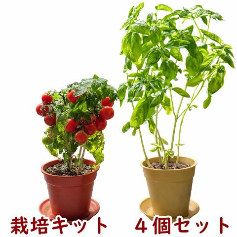 オーガニック栽培キット 選べる４個セット エコ栽培キット 送料込