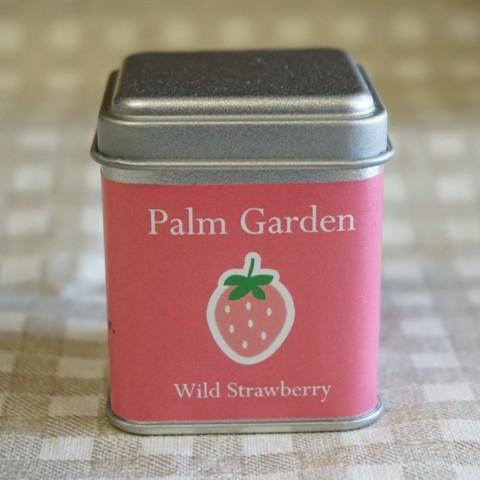 ワイルドストロベリー栽培セット ワイルドストロベリー 栽培キット