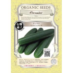 有機種子 固定種 キュウリ 20粒 種 スライスタイプ きゅうり 小袋 2026年11月期限