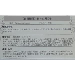 有機種子 固定種 赤トウガラシ 15粒 種 と...の詳細画像2