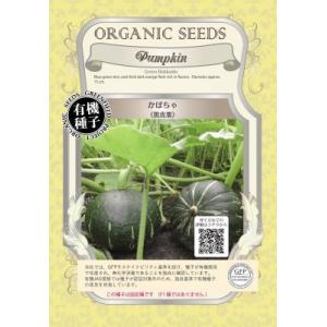 有機種子 固定種 かぼちゃ 種 黒皮栗 カボチャ 15粒 小袋 2026年11月期限