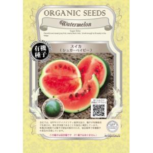 有機種子 固定種 スイカ 種 シュガーベイビー 小玉スイカ 20粒 2026年11月期限