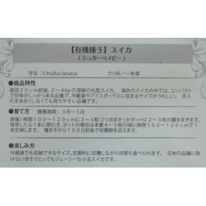 有機種子 固定種 スイカ 種 シュガーベイビー...の詳細画像2