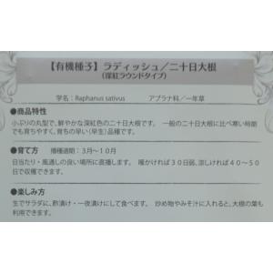 有機種子 固定種 ラディッシュ 種 二十日大根...の詳細画像2