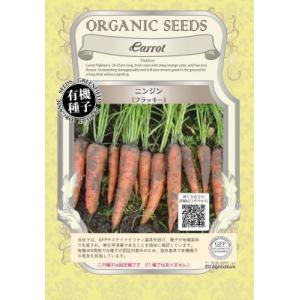 有機種子 固定種 ニンジン 1.2ｇ 種 フラッキー にんじん 人参 小袋 2026年5月期限