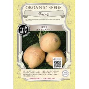 有機種子 固定種 金カブ 種 甲高 小カブ 2ｇ 小かぶ 蕪 小袋 2026年5月期限