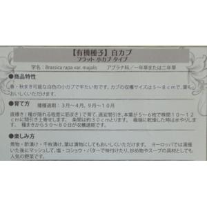 有機種子 固定種 白カブ 種 フラット 小カブ...の詳細画像2