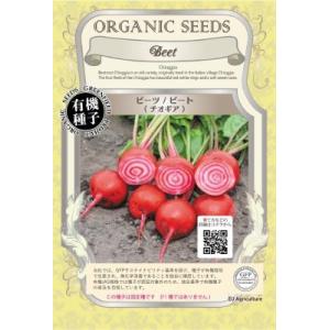 有機種子 固定種 ビーツ 1.2g 種 ビート チオギア 種子 2026年11月期限
