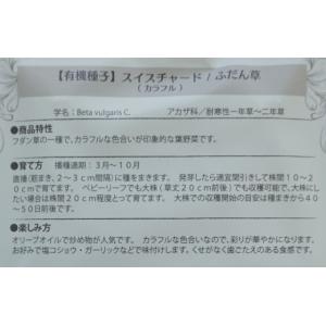 有機種子 固定種 スイスチャード 1.1g 種...の詳細画像2