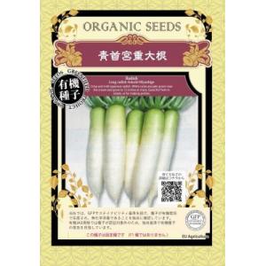 有機種子 固定種 青首宮重大根 種 大根 在来種 青首大根