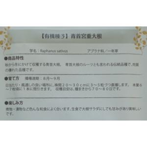 有機種子 固定種 青首宮重大根 種 大根 在来...の詳細画像2