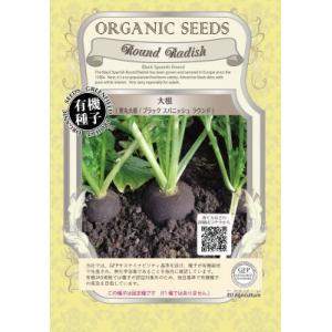 有機種子 固定種 大根 種 黒丸大根 3ｇ 種子 ブラック スパニッシュ 小袋 2026年5月期限