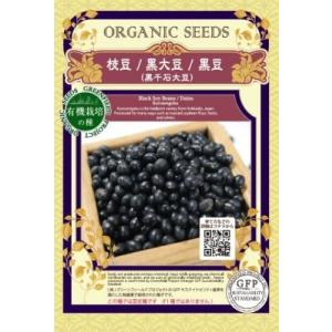 無農薬 有機栽培の種 固定種 黒枝豆 100粒 種 在来種 黒豆 黒千石大豆 2024年11月期限