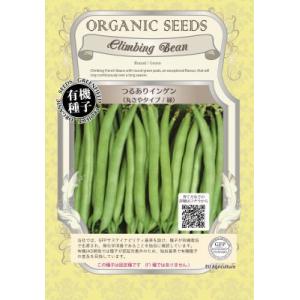 有機種子 固定種 つるありインゲン 丸さやタイプ 緑 種 いんげん 15粒 小袋 2026年11月期...
