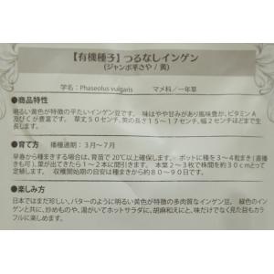 有機種子 固定種 つるありインゲン ジャンボ平...の詳細画像2