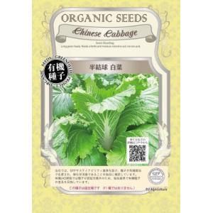 有機種子 固定種 半結球 白菜 0.6ｇ 種 ハクサイ 小袋 2026年11月期限