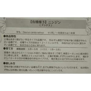 有機種子 固定種 ニンジン ナンテス 1.5g...の詳細画像2