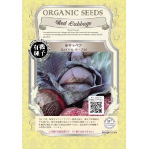 有機種子 固定種 赤キャベツ ロイヤルパープル 60粒 種 2026年5月期限