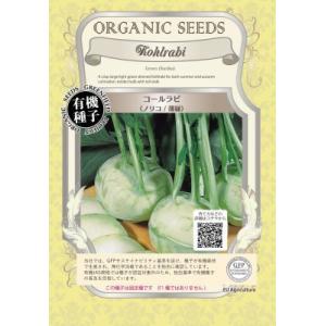 有機種子 固定種 コールラビ ノリコ 80粒 種 薄緑 種子 小袋 2026年11月期限