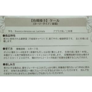 有機種子 固定種 ケール カーリータイプ 0....の詳細画像2