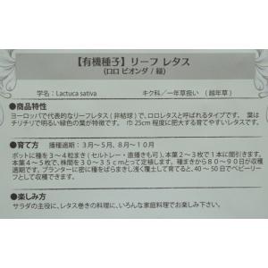 有機種子 固定種 リーフレタス ロロビオンダ ...の詳細画像2