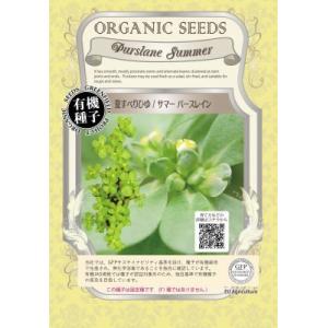 有機種子 固定種 夏すべりひゆ サマーパースレイン 0.3ｇ 種 2026年11月期限