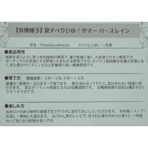 有機種子 固定種 夏すべりひゆ サマーパースレ...の詳細画像2