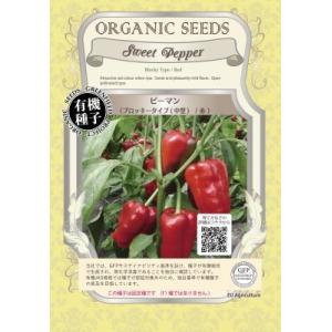 有機種子 固定種 ピーマン 40粒 種 ブロッキータイプ 中型 赤 2026年11月期限