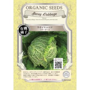 有機種子 固定種 サボイキャベツ マーナー 0.2g 2026年5月期限