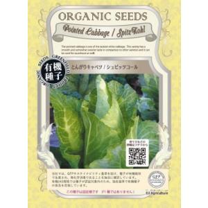 有機種子 固定種 とんがりキャベツ 60粒 種 シュピッツコール 小袋 2026年5月期限