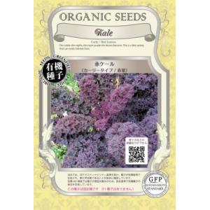 有機種子 固定種 赤ケール 0.4g 種 カーリータイプ 赤葉 2026年11月期限