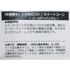 有機種子 固定種 スイートコーン ゴールデンバ...の詳細画像1