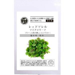 有機種子 固定種 レッドソレル 0.4ｇ 種 マイクロリーフ 2026年5月期限