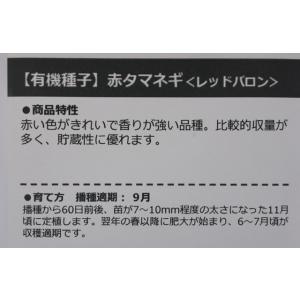 有機種子 固定種 赤玉ねぎ レッドバロン 1....の詳細画像1