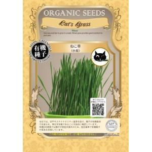 有機種子 固定種 ねこ草 （小麦）25ｇ 種  猫草 ネコ用 犬用 小袋 2027年5月期限