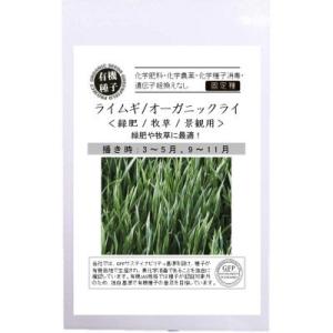 有機種子 固定種 ライムギ オーガニックライ 18ｇ 種  緑肥 牧草 景観用 2026年5月期限